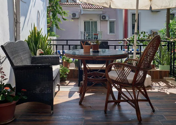 홈스테이 Caretta 카스