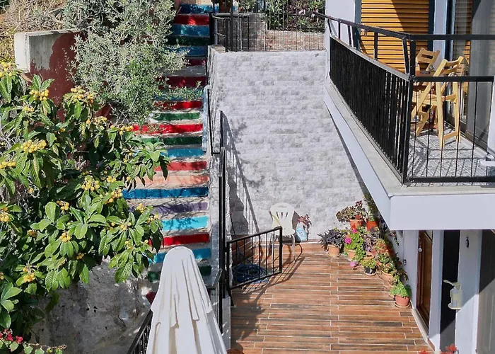 홈스테이 Caretta 카스