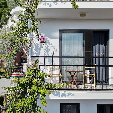 Caretta Kaş